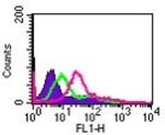 IL24 Antibody in Flow Cytometry (Flow)