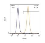 Lamin A/C Antibody in Flow Cytometry (Flow)