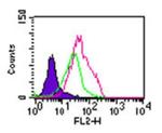 TLR5 Antibody in Flow Cytometry (Flow)