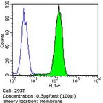 PMP70 Antibody in Flow Cytometry (Flow)