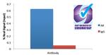 Androgen Receptor Antibody in ChIP Assay (ChIP)