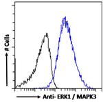 ERK1 Antibody in Flow Cytometry (Flow)