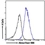 HP1 gamma Antibody in Flow Cytometry (Flow)