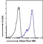 VDR Antibody in Flow Cytometry (Flow)