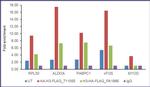 HA Tag Antibody in ChIP Assay (ChIP)