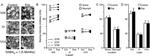 GABRA1 Antibody in Immunohistochemistry (IHC)