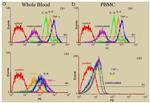 CNR2 Antibody in Flow Cytometry (Flow)