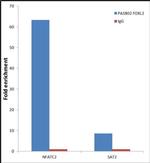 FOXL2 Antibody in ChIP Assay (ChIP)