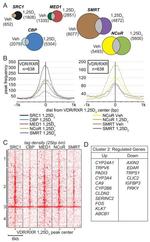 NCoR2 Antibody in ChIP Assay (ChIP)