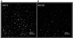 MECP2 Antibody in Immunohistochemistry (IHC)