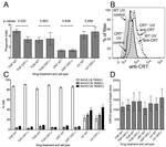 Calreticulin Antibody in Flow Cytometry (Flow)