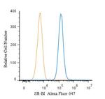 SR-BI Antibody in Flow Cytometry (Flow)