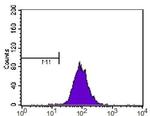 SR-BI/SR-BII Antibody in Flow Cytometry (Flow)