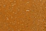 GOLPH3 Antibody in Immunohistochemistry (Paraffin) (IHC (P))