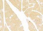 SRR Antibody in Immunohistochemistry (Paraffin) (IHC (P))