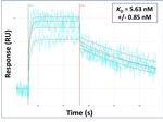 PSTK Antibody in Surface plasmon resonance (SPR)