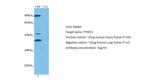 YTHDC1 Antibody in Western Blot (WB)