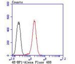 4EBP1 Antibody in Flow Cytometry (Flow)