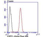 USP21 Antibody in Flow Cytometry (Flow)