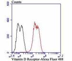 VDR Antibody in Flow Cytometry (Flow)