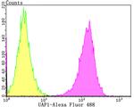 UAP1 Antibody in Flow Cytometry (Flow)