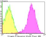 VDR Antibody in Flow Cytometry (Flow)