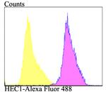 HEC1 Antibody in Flow Cytometry (Flow)