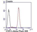 CD13 Antibody in Flow Cytometry (Flow)