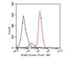 ACADL Antibody in Flow Cytometry (Flow)