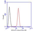 B3GAT1 Antibody in Flow Cytometry (Flow)