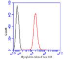 Myoglobin Antibody in Flow Cytometry (Flow)