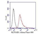 KVbeta1 (KCNAB1) Antibody in Flow Cytometry (Flow)