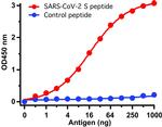 SARS-CoV-2 Spike Protein S1/S2 Antibody in ELISA (ELISA)