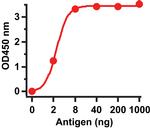 SARS/SARS-CoV-2 Spike Protein (S1/S2) Antibody in ELISA (ELISA)