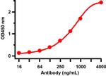 SARS/SARS-CoV-2 Spike Protein (S1/S2) Antibody in ELISA (ELISA)