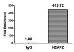 H2A.ZK4ac Antibody in ChIP Assay (ChIP)