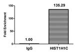 Di-Methyl-Histone H1.2 (Lys45) Antibody in ChIP Assay (ChIP)