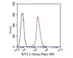 Kv2.2 Antibody in Flow Cytometry (Flow)