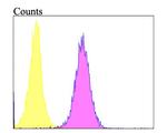 Follistatin Antibody in Flow Cytometry (Flow)