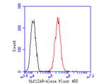 SLC12A9 Antibody in Flow Cytometry (Flow)