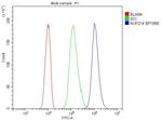 NUP214 Antibody in Flow Cytometry (Flow)