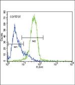 GATA4 Antibody in Flow Cytometry (Flow)