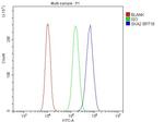 SKA2 Antibody in Flow Cytometry (Flow)