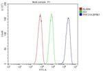 PHF21A Antibody in Flow Cytometry (Flow)