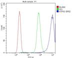 ATP5G1/2/3 Antibody in Flow Cytometry (Flow)