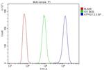 ATP5G1/2/3 Antibody in Flow Cytometry (Flow)