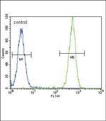 TERT Antibody in Flow Cytometry (Flow)