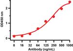 SARS-CoV-2 Spike Protein (RBD) Antibody in ELISA (ELISA)