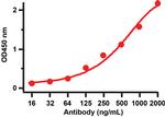 SARS-CoV-2 Spike Protein (RBD) Antibody in ELISA (ELISA)