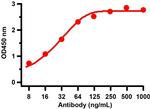 SARS-CoV-2 Spike Protein S1 Antibody in ELISA (ELISA)